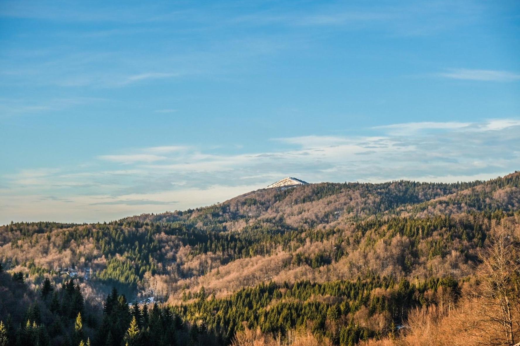 Vila Cajetinski Biser -Apartment Lux Kopaonik Eksteriør bilde