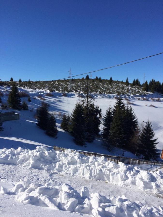 Vila Cajetinski Biser -Apartment Lux Kopaonik Eksteriør bilde