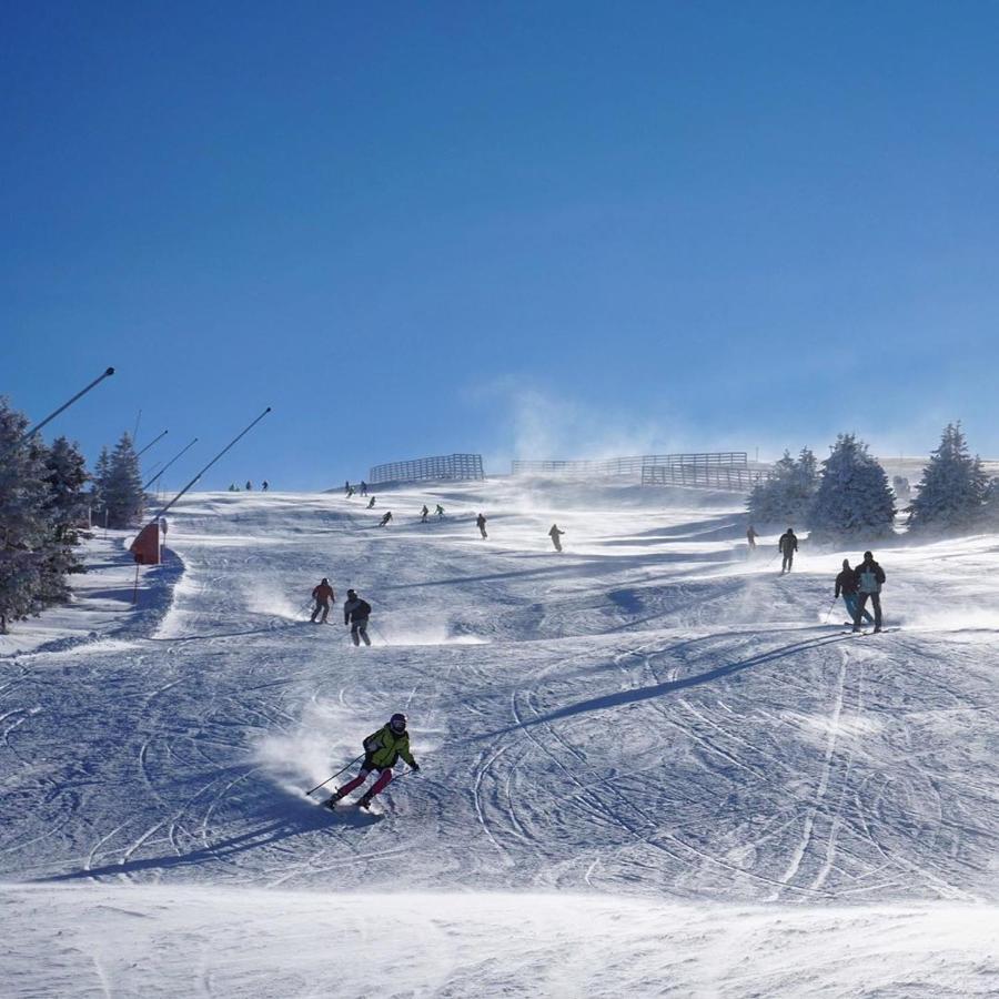 Vila Cajetinski Biser -Apartment Lux Kopaonik Eksteriør bilde